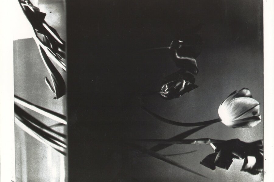 Florence Henri, Stilleben, 1931; foto: Institut für Auslandsbeziehungen